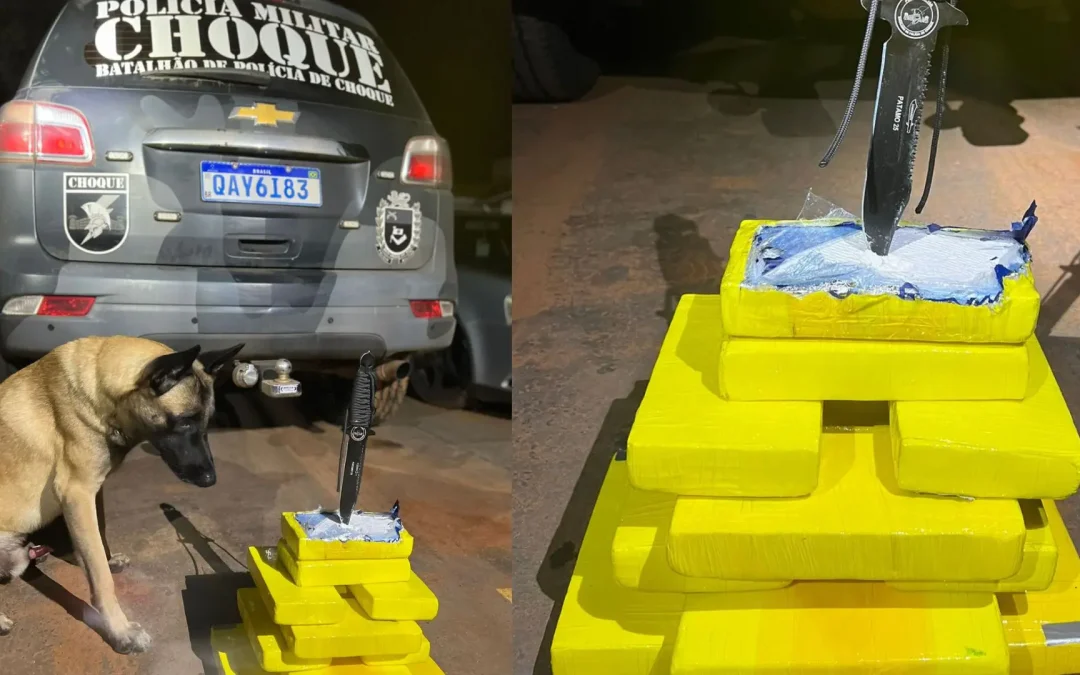 Passageira de ônibus é presa em Campo Grande com quase R$ 1 milhão em cocaína