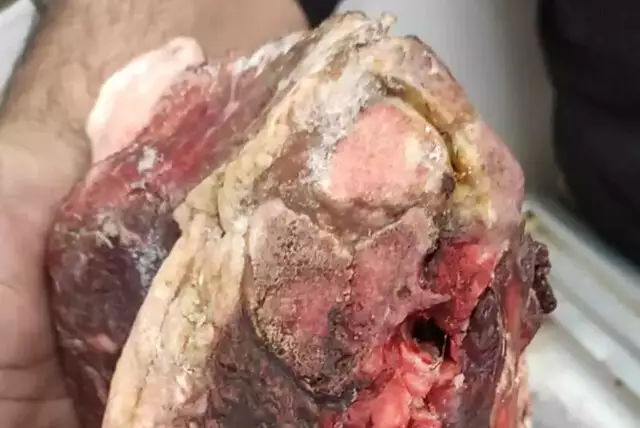 Força-tarefa apreendeu 1 tonelada de carne imprópria e 1.100 ovos de açougue