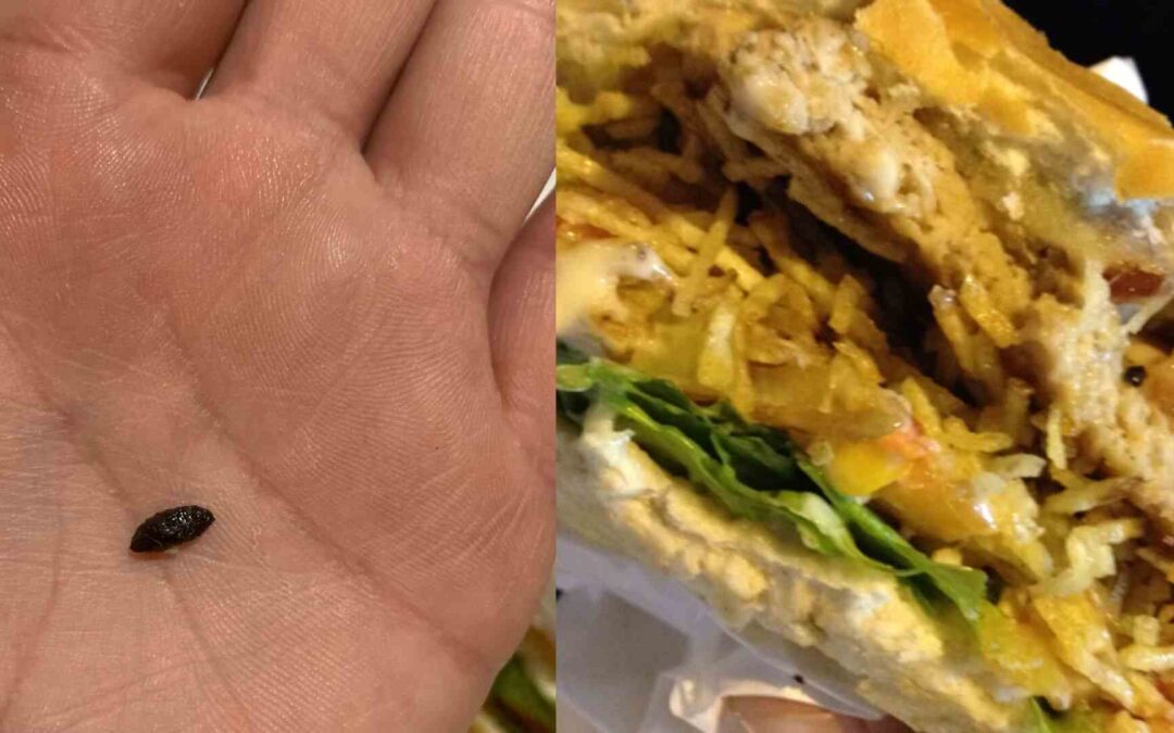 “Que nojo”: mulher denuncia fezes de rato dentro de lanche e choca clientes em Campo Grande