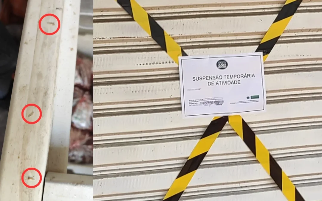 No 3º caso em 15 dias, polícia fecha mercearia e descarta 400 kg de carne com larvas no Guanandi
