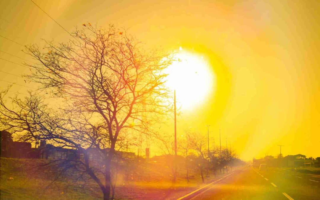Vendaval e onda de calor de quase 40°C geram alerta do Inmet para MS; confira alguns cuidados