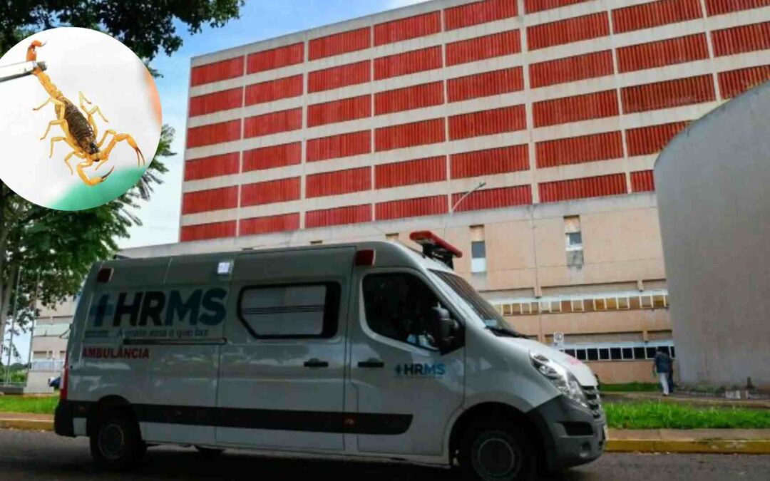 Veneno de escorpião atingiu coração de menina de 1 ano picada em Campo Grand