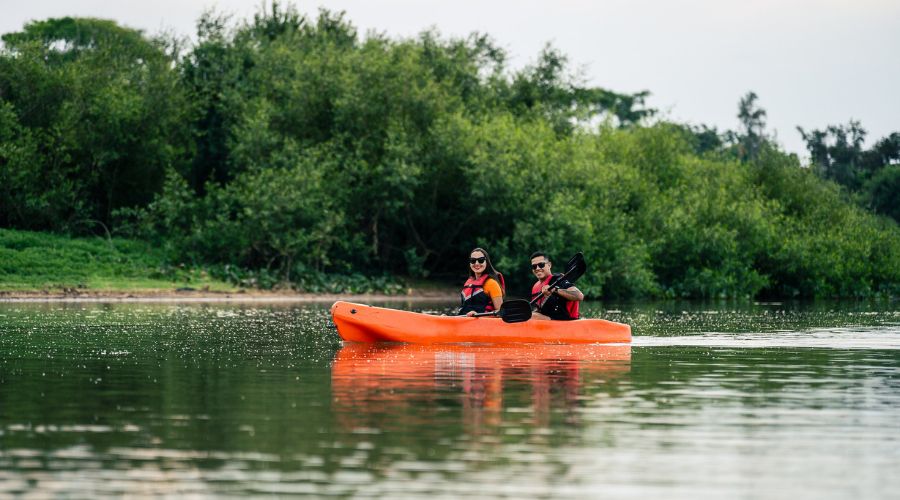 Corumbá: Turistas que visitam o Pantanal terão a ajuda do Chico, um guia virtual no WhatsApp