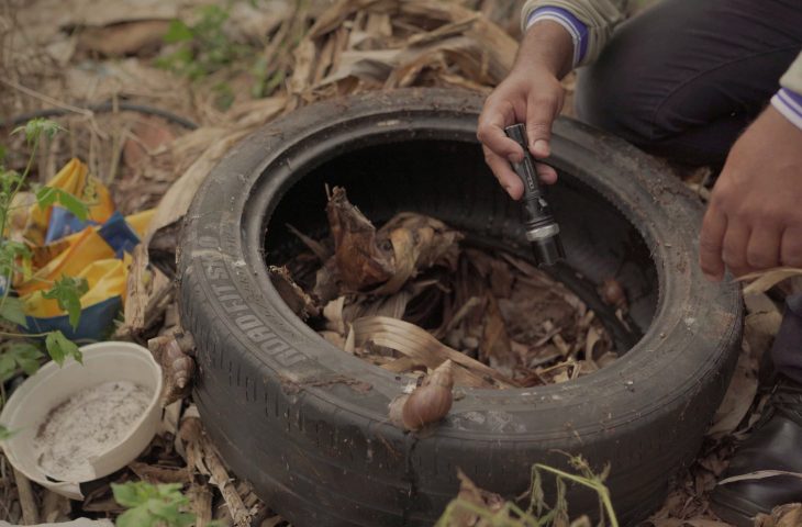 Dengue: atenção aos sintomas é essencial e evita agravamento da doença