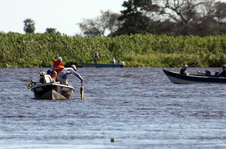 ‘Pesque e solte’ é liberado para pescadores nos rios Paraguai e Paraná