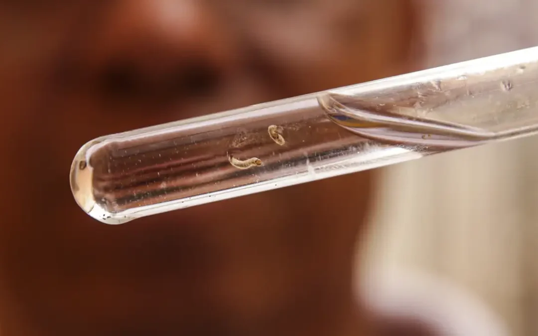 Brasil tem mais de um milhão de casos de dengue este ano