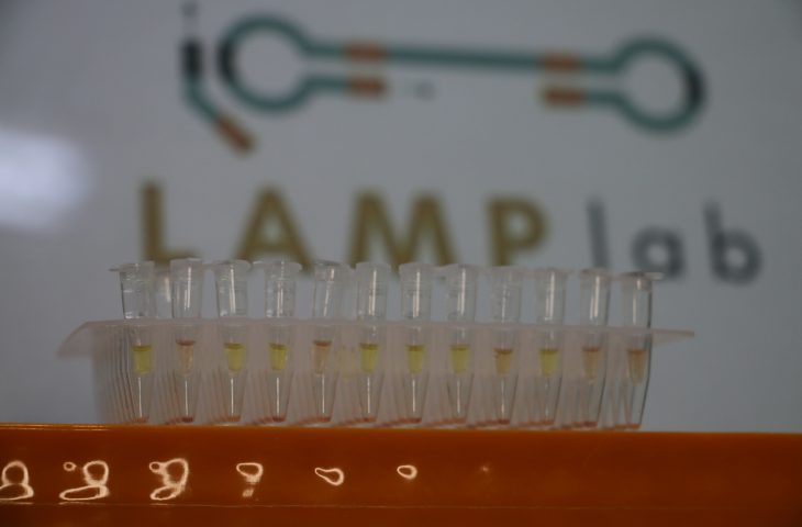 Startup recebe apoio da Fundect e inova com diagnóstico rápido de leishmaniose