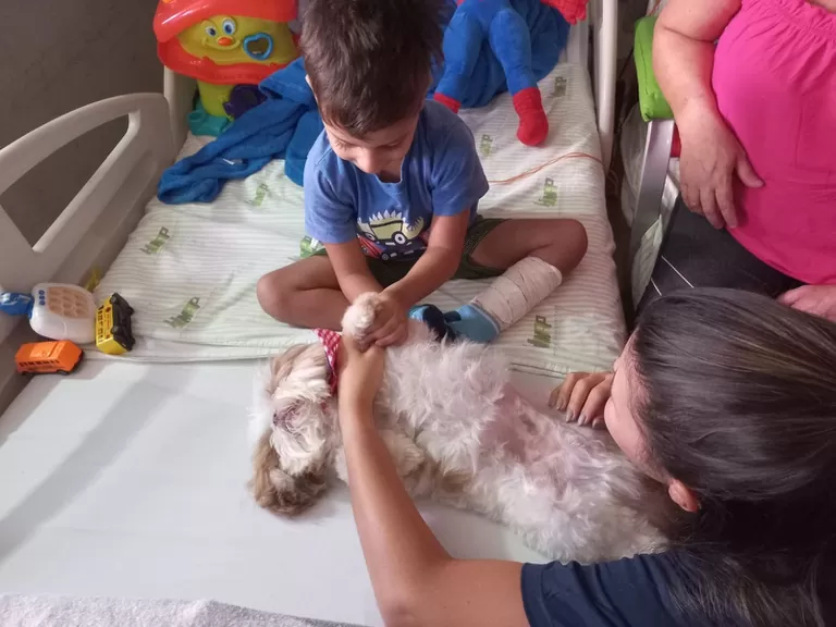 Cão terapeuta Zili volta ao Humap-UFMS e encanta pacientes e colaboradores