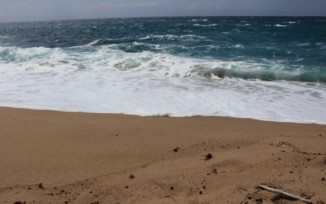 Por que o risco de elevação do nível do mar pode ser maior do que o projetado até aqui?
