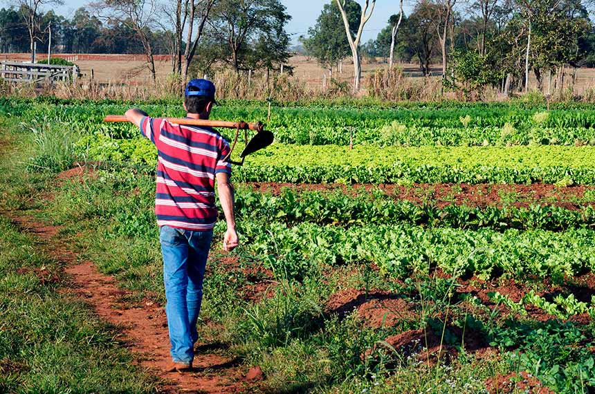 Projeto prevê órgão para gestão de mão de obra rural avulsa
