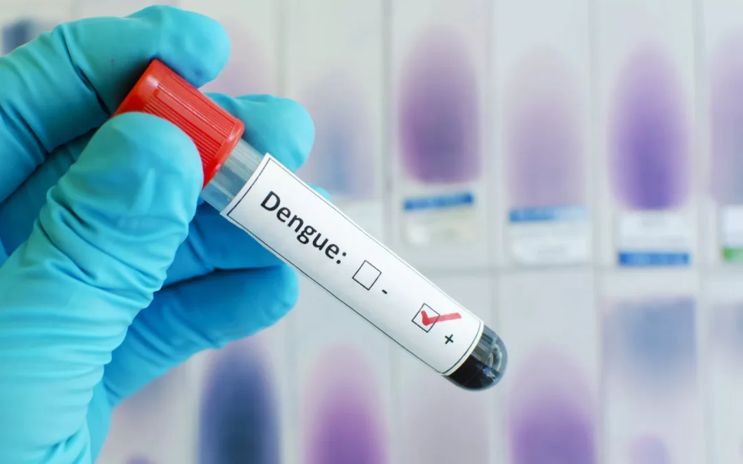 Brasil ultrapassa marca de 5 mil mortes por dengue
