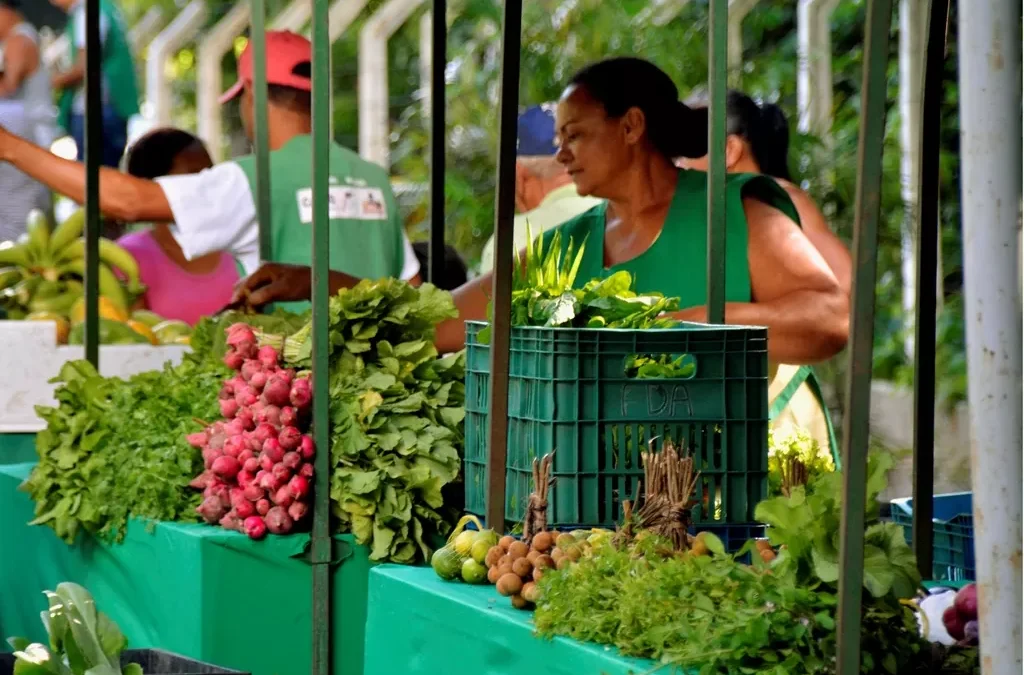Feira Agroecológica destaca diversidade, sustentabilidade e protagonismo local