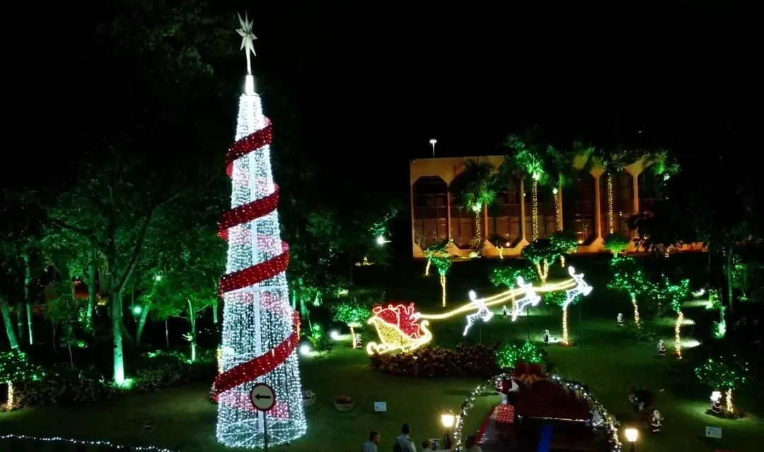 “Luzes do Bosque: Natal EcoSolidário” amplia boas práticas do TCE-MS