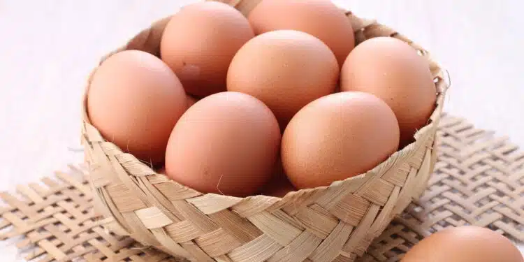 Nova regra para ovos promete mudar tudo a partir de março!