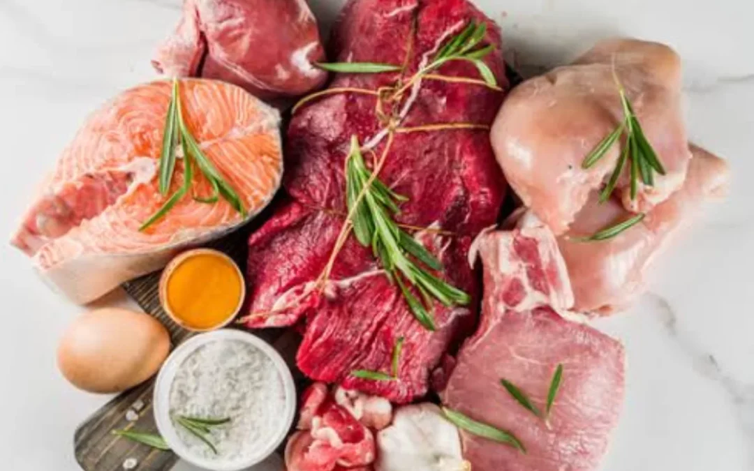 Dieta carnívora: moda perigosa ou solução milagrosa? Entenda os riscos