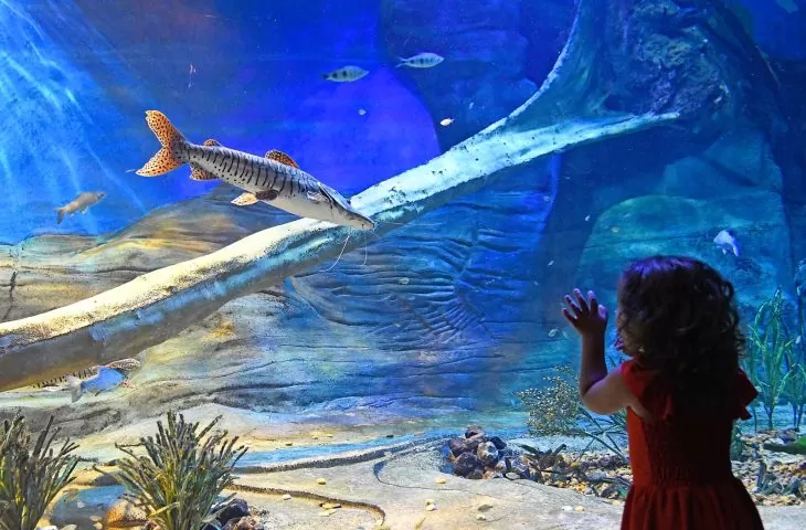 Bioparque divulga horário especial de Carnaval; local contará com apresentações musicais