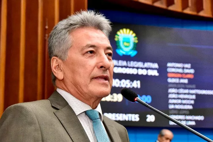 Sugerida por Hashioka, PEC para para consagrar o Pantanal de MS como patrimônio nacional é aprovada no Senado