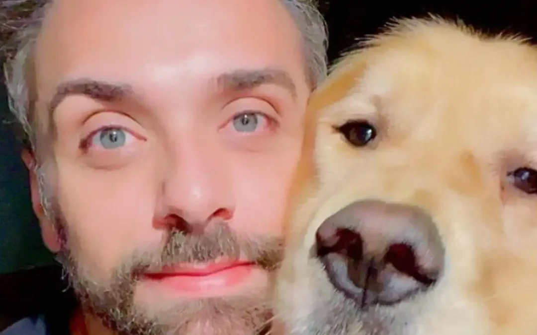 Após caso Joca, Senado aprova regras para transporte aéreo de animais