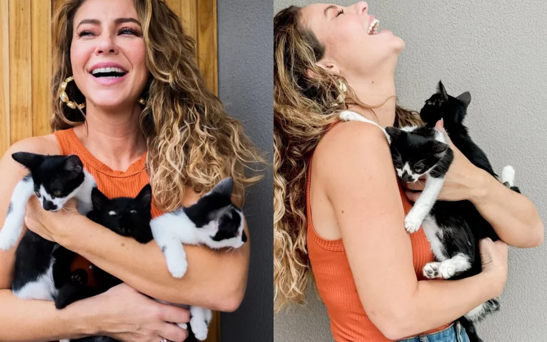 Mãe de pet: Paolla Oliveira aumenta a família adotando 11 gatos e 7 cachorros