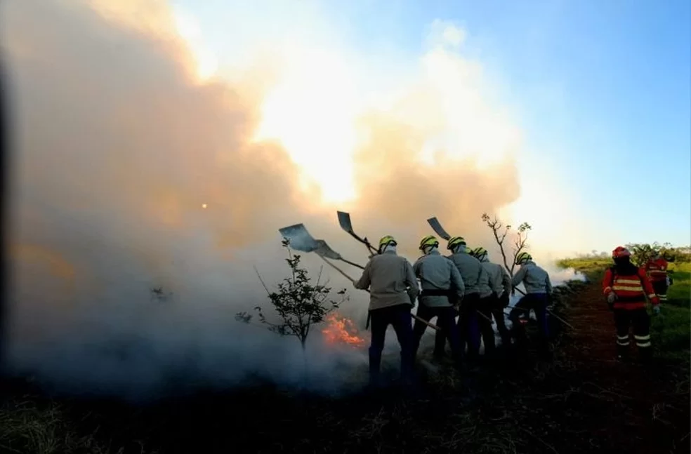 Projetos de prevenção a incêndios no Pantanal podem receber recursos de até R$ 500 mil