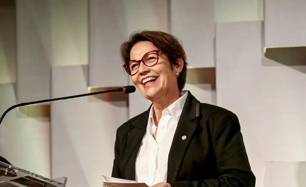 Bancada feminina no Senado escolhe nova líder