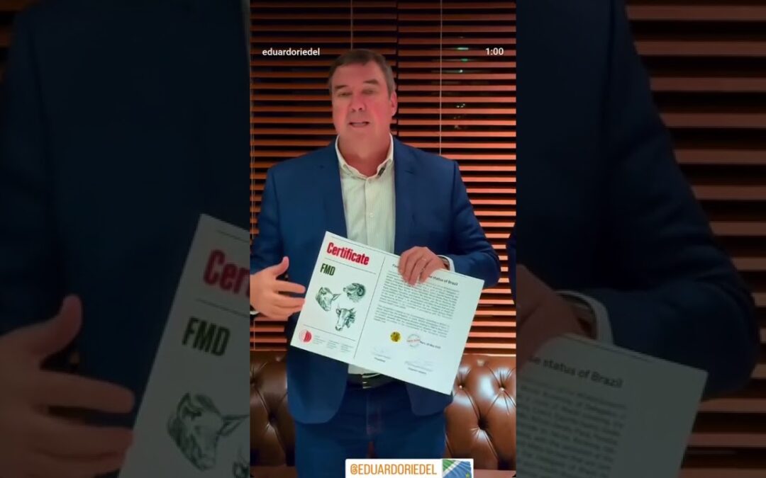 Nas Redes “MS celebra status livre de febre aftosa: certificado chega às mãos de Riedel”