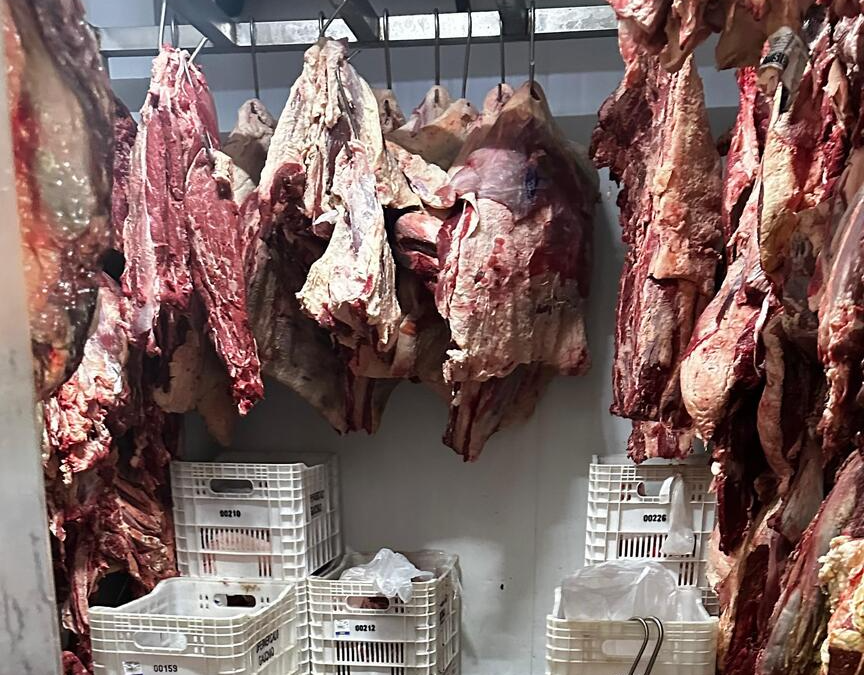 Açougue fechado pela Decon tinha 2,2 toneladas de carne imprópria para o consumo