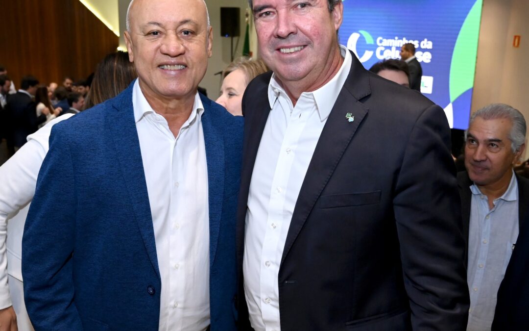 Rota da Celulose: Governador defende regulação como corpo central para entrega dos melhores resultados