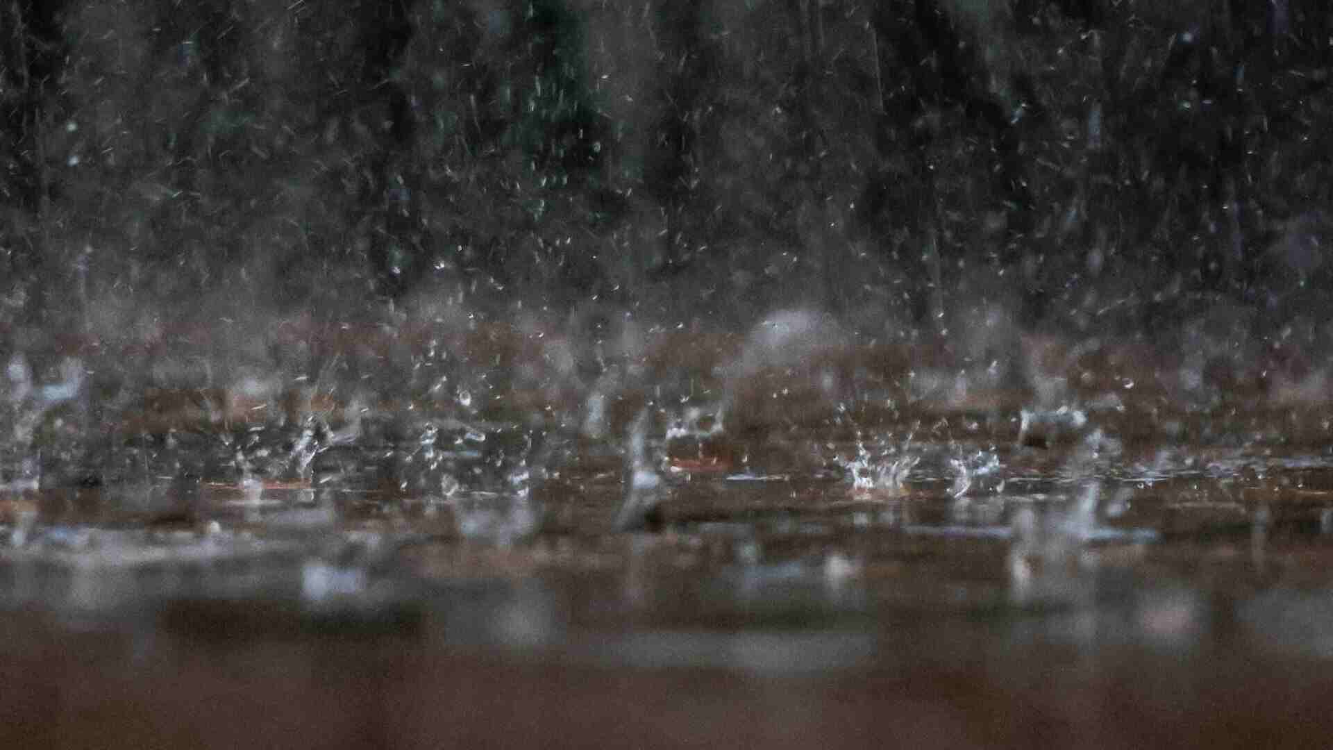 xr:d:DAF535WLJHU:17,j:5142400690605121928,t:24011722