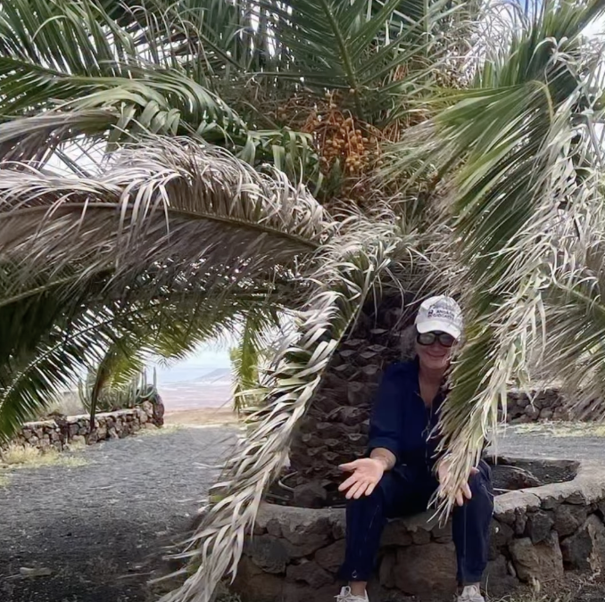 “Plantas que pintam”: artesã mineira viraliza ao transformar movimentos da natureza em obras de arte