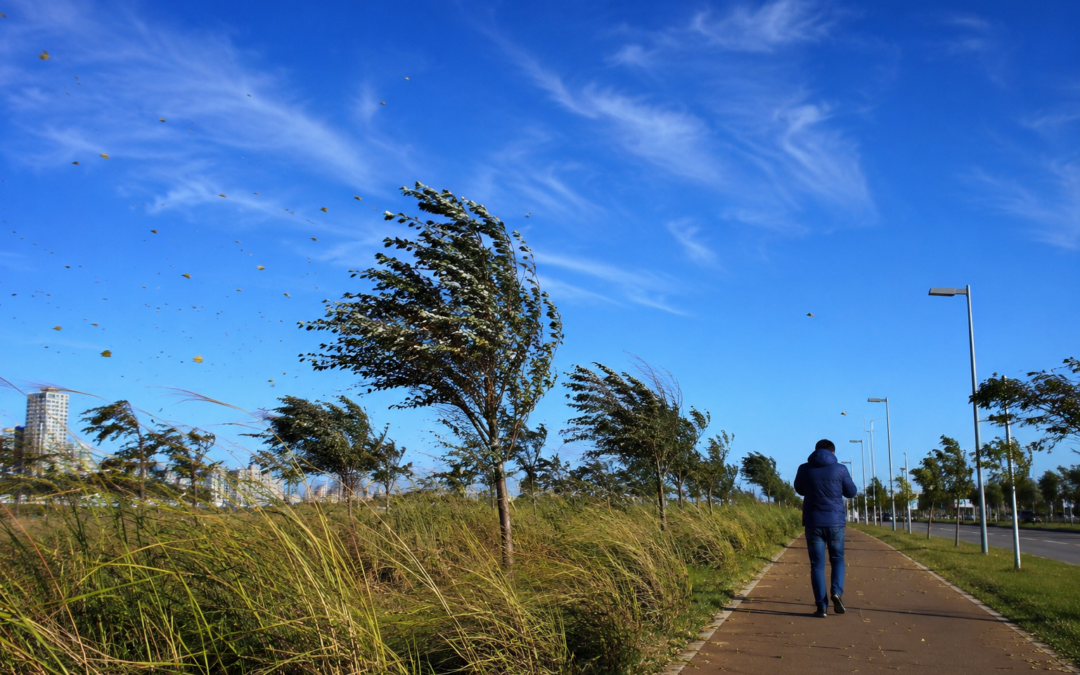 Massa de ar fria e seca derruba temperaturas e mantém tempo firme em Mato Grosso do Sul