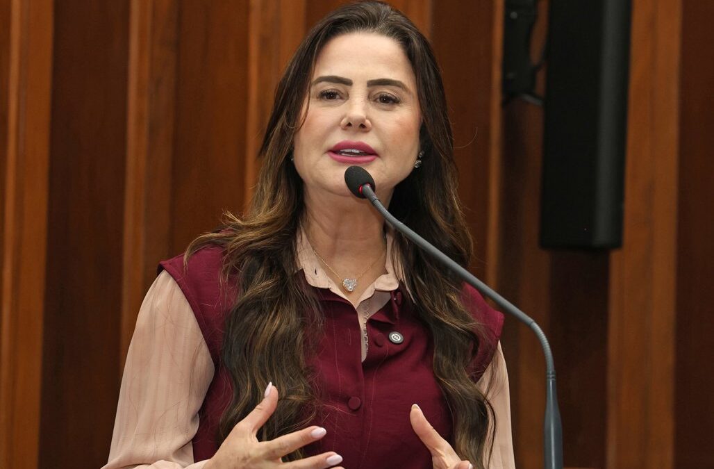 Maioridade penal aos 16 e crédito rural: o que Mara Caseiro quer defender em Brasília
